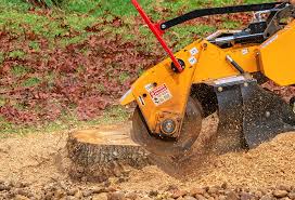 Best Arborist Consultation Services  in Pine Ridge, SC